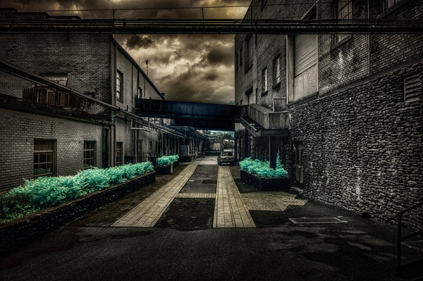 Echoes of History: Uncovering Lynchburgs Historic Bidding Drive at Jack Daniels Print