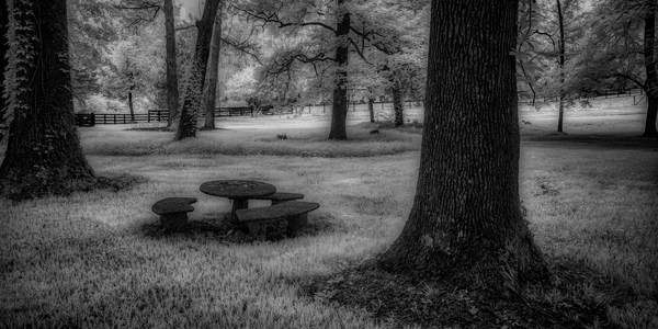 Picnic in Shadows Print