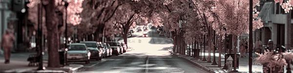 City in Bloom: Yorks Stroll Through Infrared Hues - Pano Print