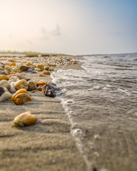 Shoreline Serenade Print