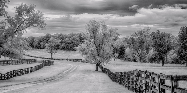 Journey Beyond: Traversing the Worn Road of Appomattox Courthouse Town Print