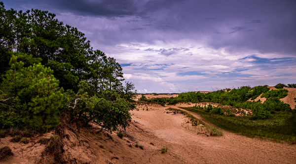 Jockey Ridge State Park Print