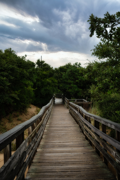 Jockey Ridge Walkway Print