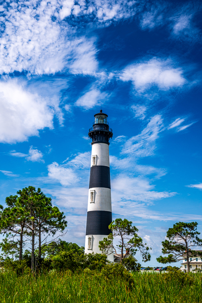 Whispers of Light: Echoes of the Coast Print