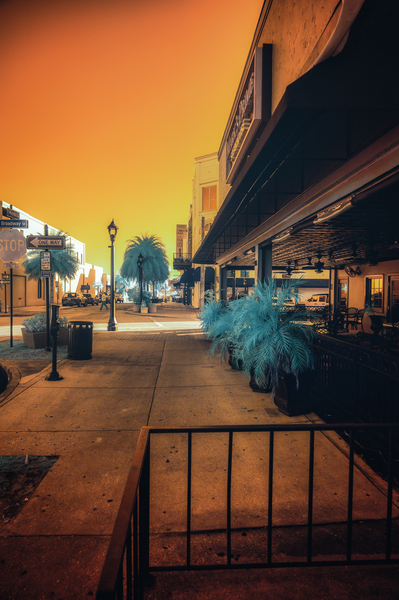 Urban Oasis: Ocala Florida Print