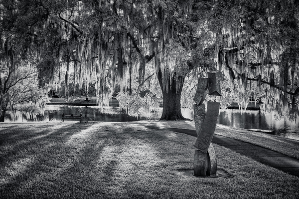 Southern Sentinel Print