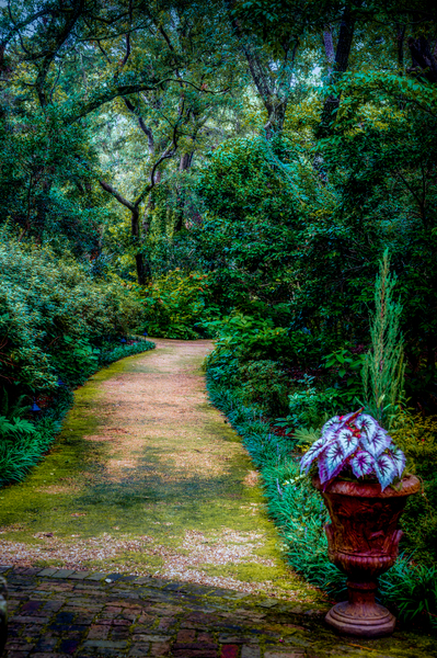 Garden Tapestry: A Walk Through Natures Beauty Print