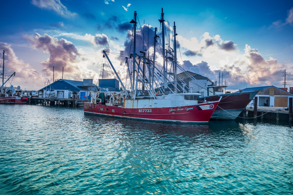 Harbors Turquoise Dream Print