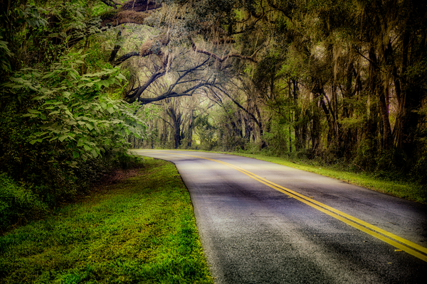 Around the Bend Print