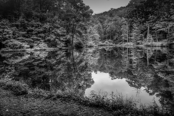 Natures Perfect Mirror Print