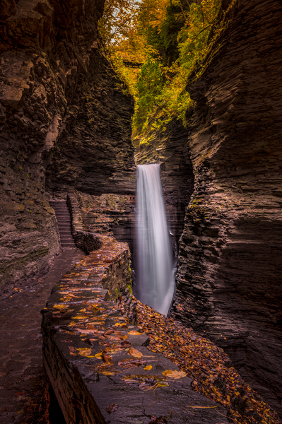 Watkins Glen Serenity: Tranquil Gorge Path to A Majestic Waterfall Print