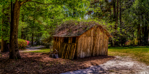 Whispers of Time: An Colorful Enchanted Shack at Swan Lake & Iris Garden Print