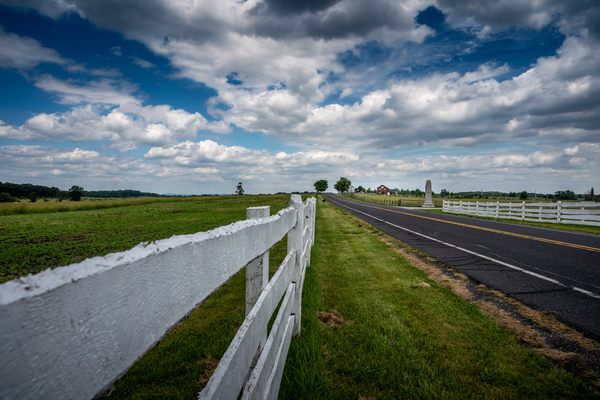 Fence along the road Print