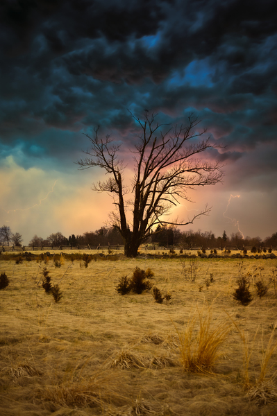 Stormy Solitude Print