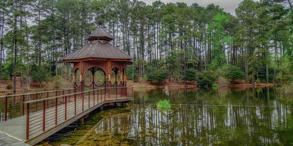 Pond Gazebo in Color Print