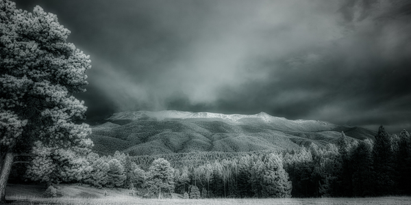 Muellers Mystique Print