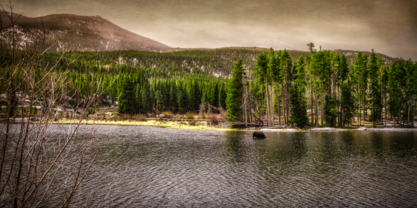 Majestic Moose at Sprague Lake: Sprague Lake Print