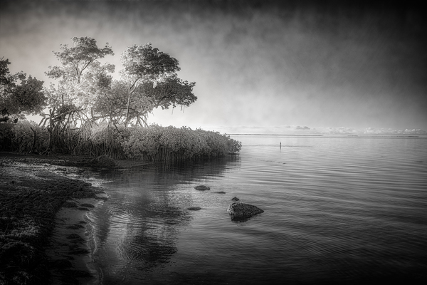 Tranquil Tides Print