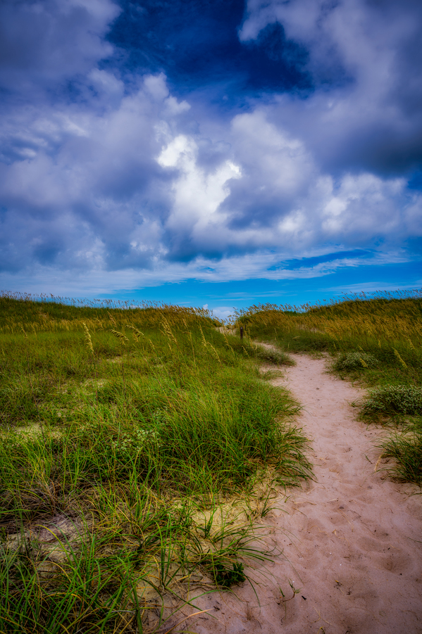 Pathway to Summer Skies Print
