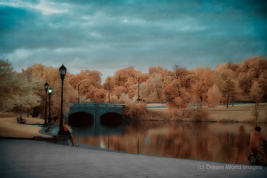 Reflections of Golden Calm  Imprimer