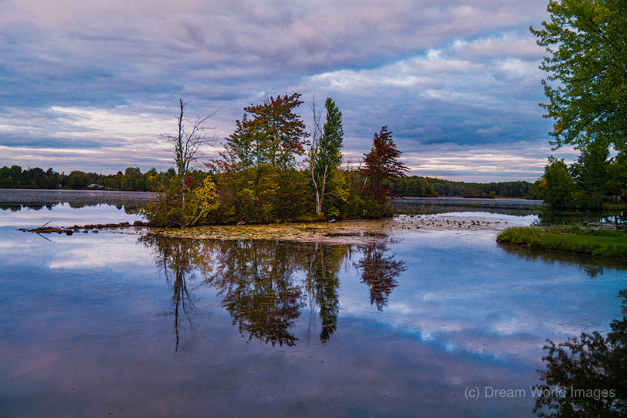 Twilights Double Beauty  Print