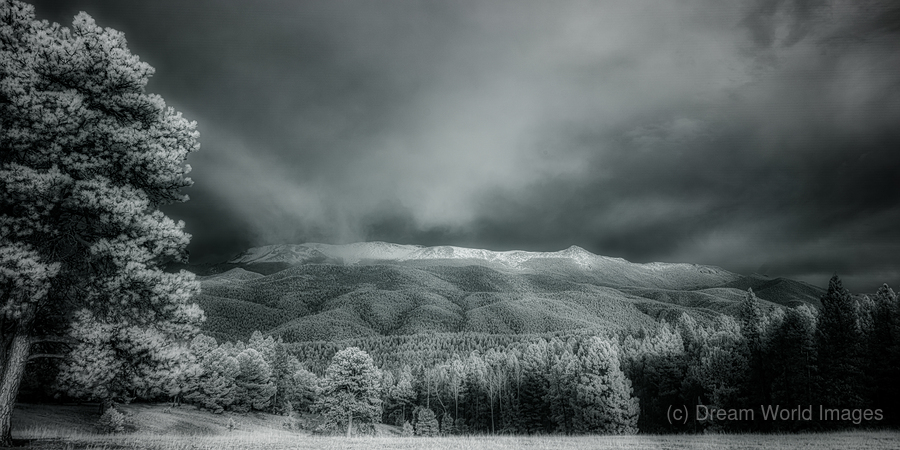 Muellers Mystique  Print