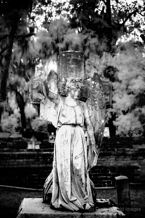 Guardian of Serenity: Unveiling Saint Marys Angel Light at Oak   Print