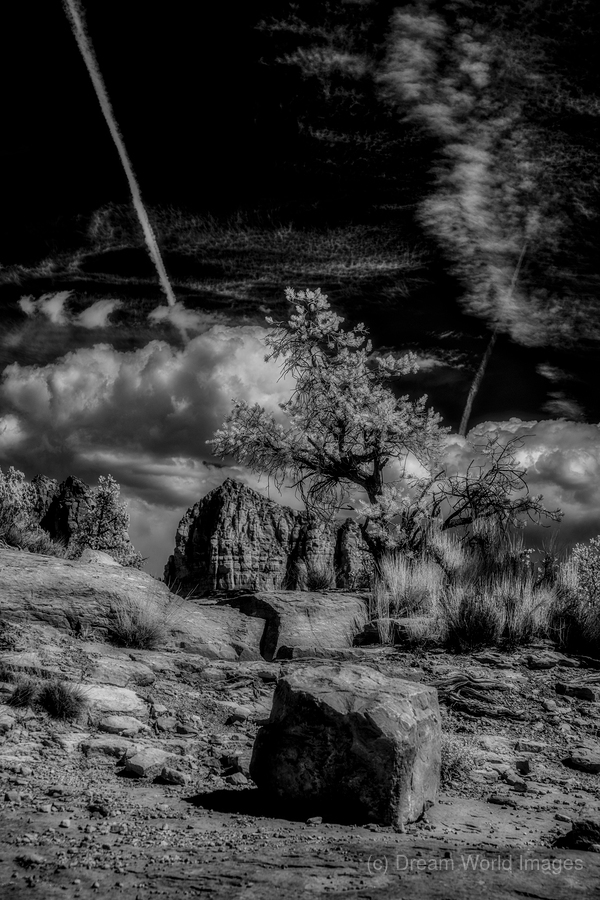 Boulder and Branch Under Silent Clouds  Print