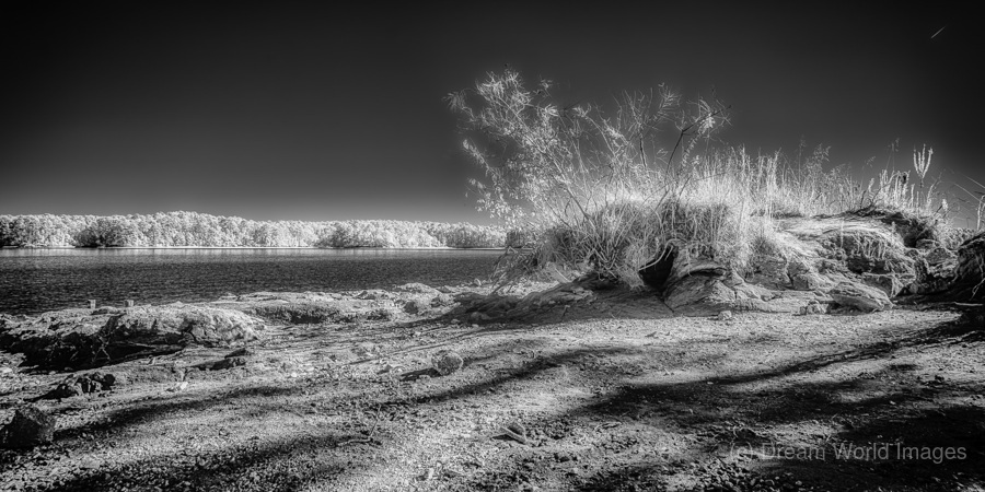 Ethereal Odyssey: Another World at Wind Creek State Park Alabam  Print