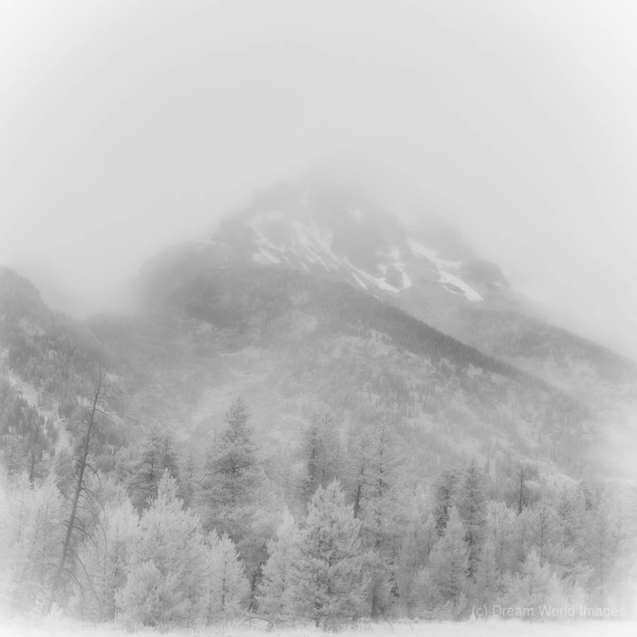 Misty Mountain Veil   Alpine Whispers  Print
