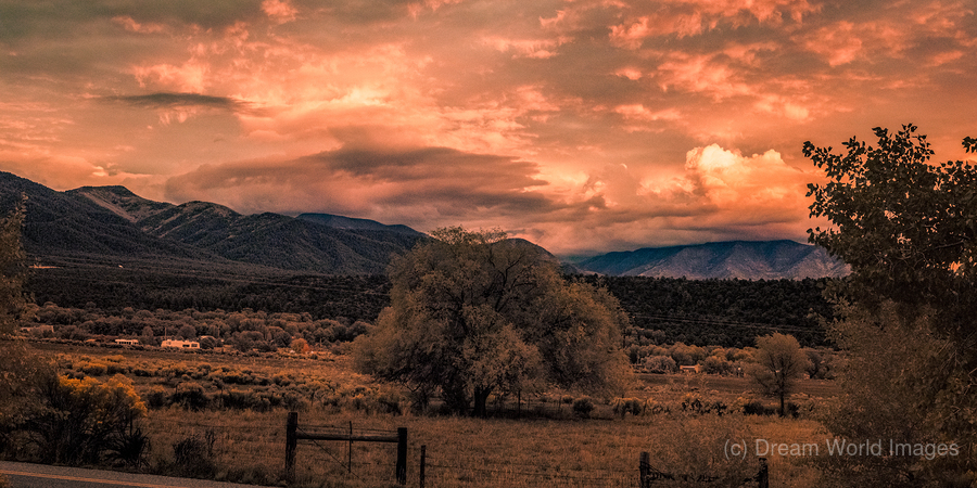 Solitary Vigil in a Fiery Twilight  Print