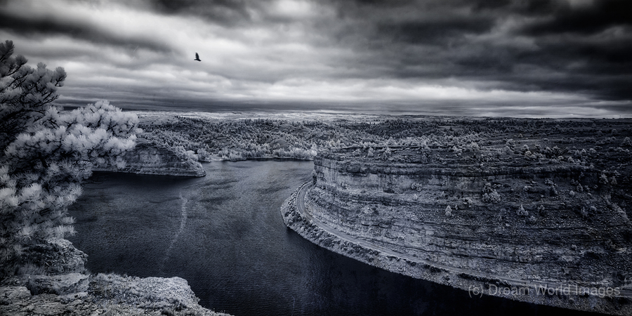 Guernsey Overlook: Weathering the Storm  Print