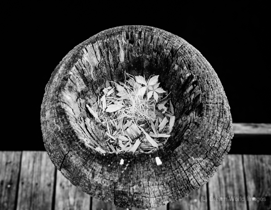 Echoes Within Wood  Print