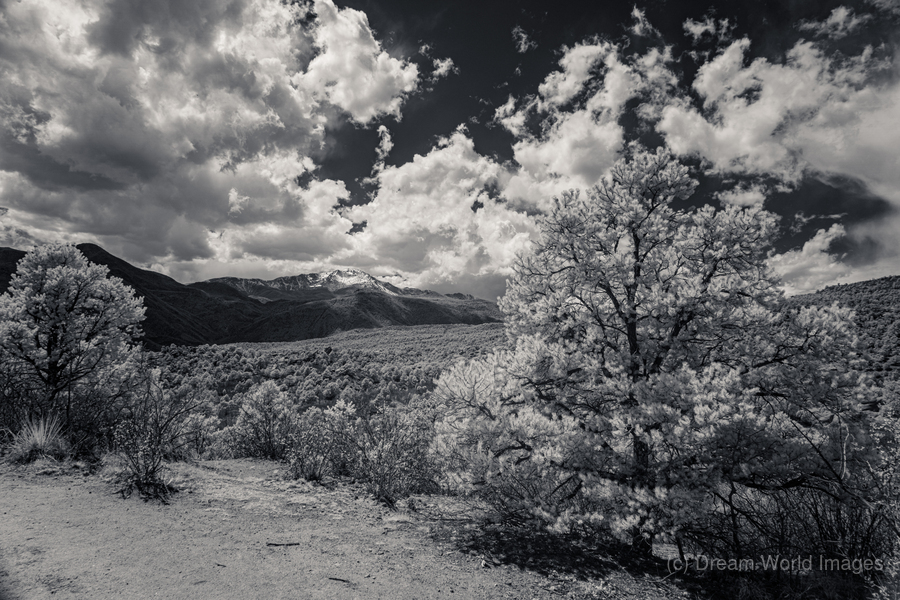 Trail to Majesty: A Glimpse Beyond on Scotchman Trail Garden of the Gods  Print