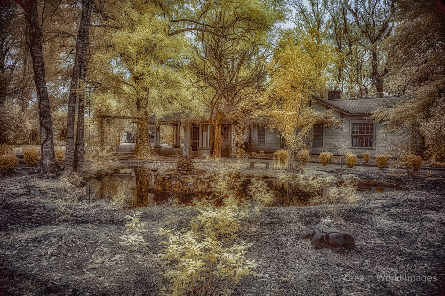 Louisiana Hunting Lodge  Print