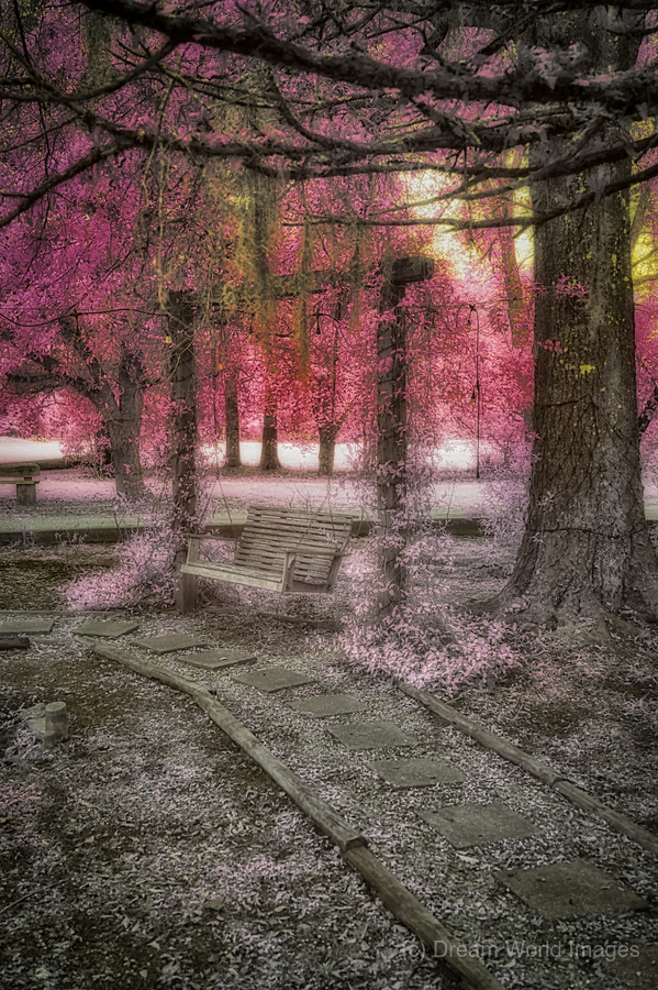 Echoes of Time: Infrared Memories  Print