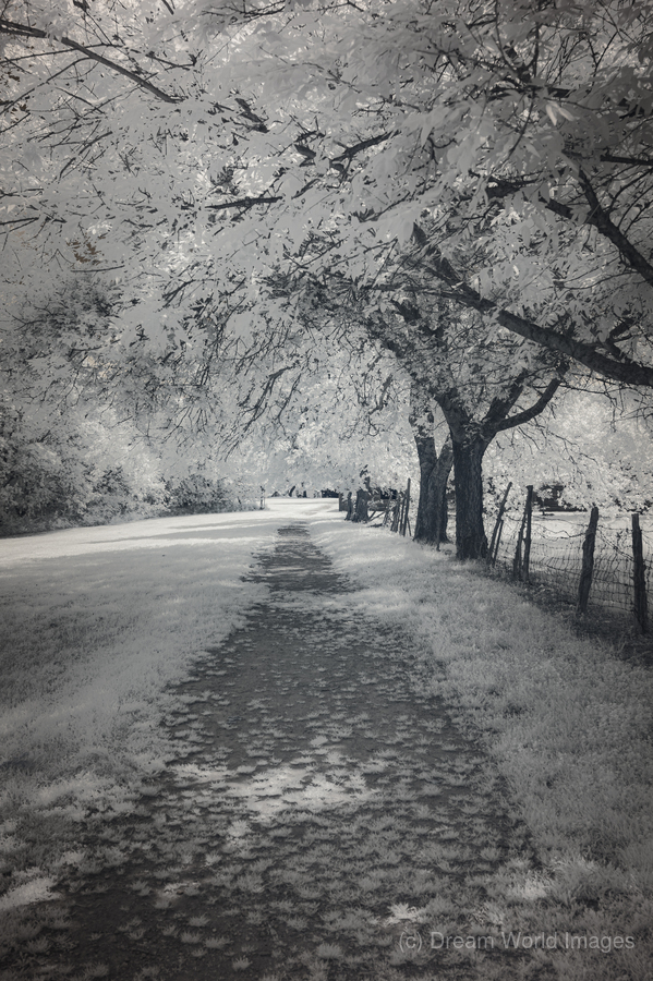 Farm Path - 3  Print