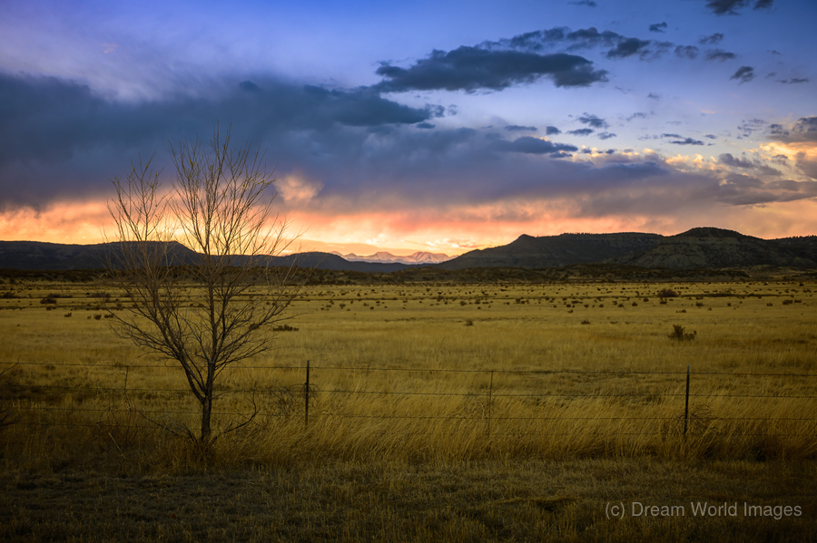 Prairie Radiance: Sunset Symphony near Cold Beer New Mexico  Print