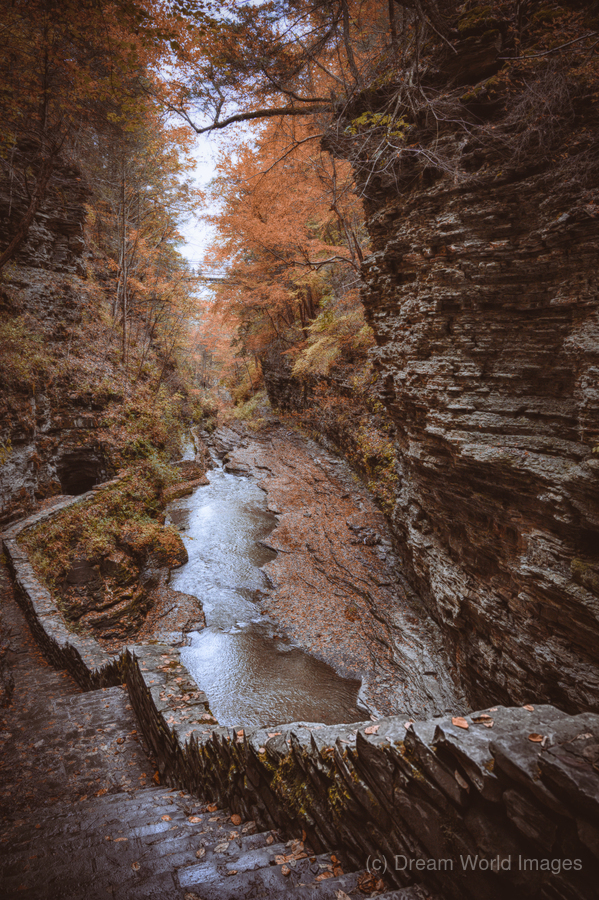 Autumn Gorge  Print