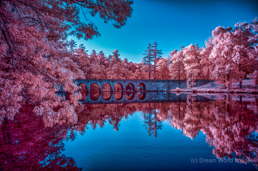 Infrared Oasis: Pink Arches  Print