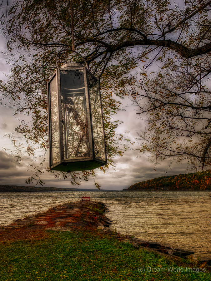 Lighting Seneca  Print