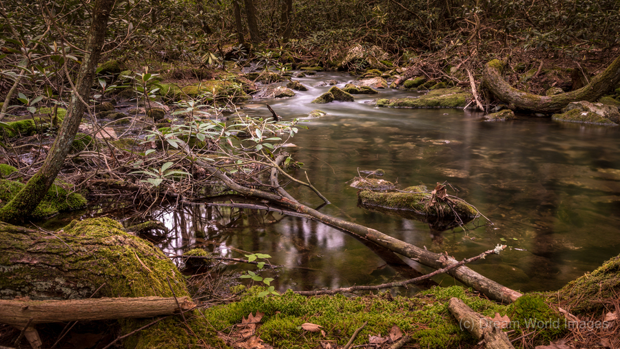 Natures Gentle Arc  Print