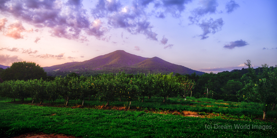 Light Peaks of Otter  Print
