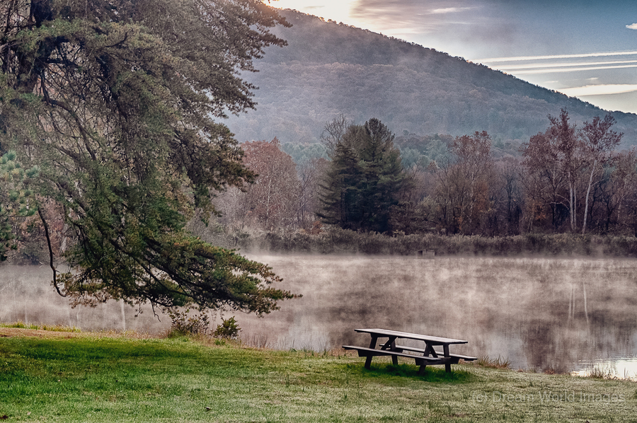 Morning witness  Print