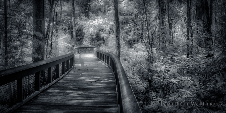 Silver Boardwalk  Print