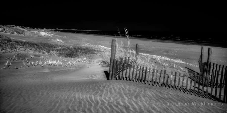 Fence Watching the Ocean  Imprimer