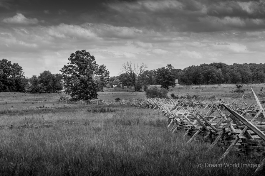 Fenceline Field  Print
