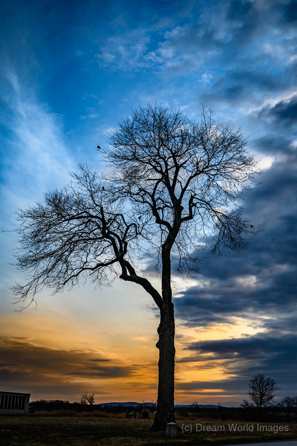 Winters Last Light  Print