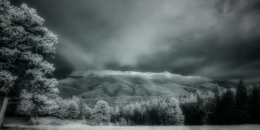 Muellers Mystique  Print