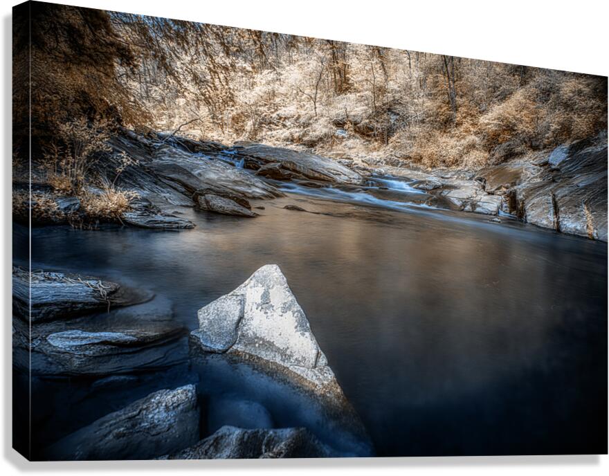 Blossoming River Bliss: A Springtime Serenity Canvas Print